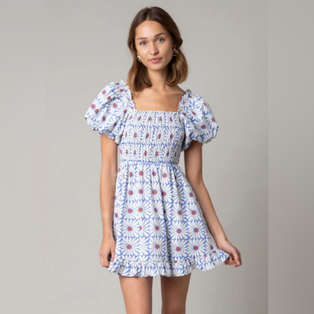 Olivaceous Daisy Print Dress
Blue/White/Rust Size L Only worn once